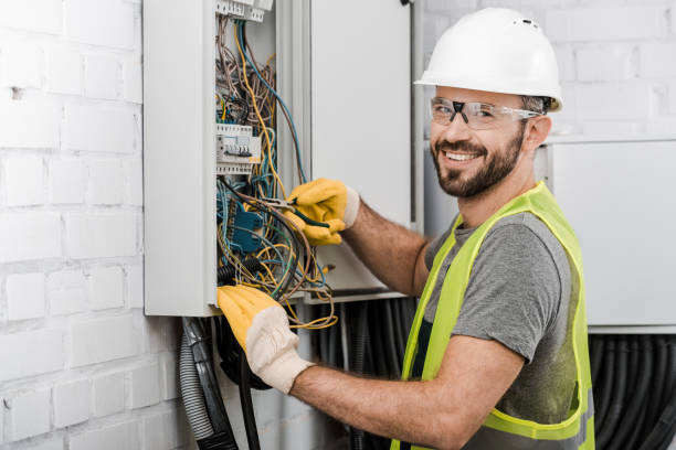 Best Electric Panel Repair  in Orwell, OH